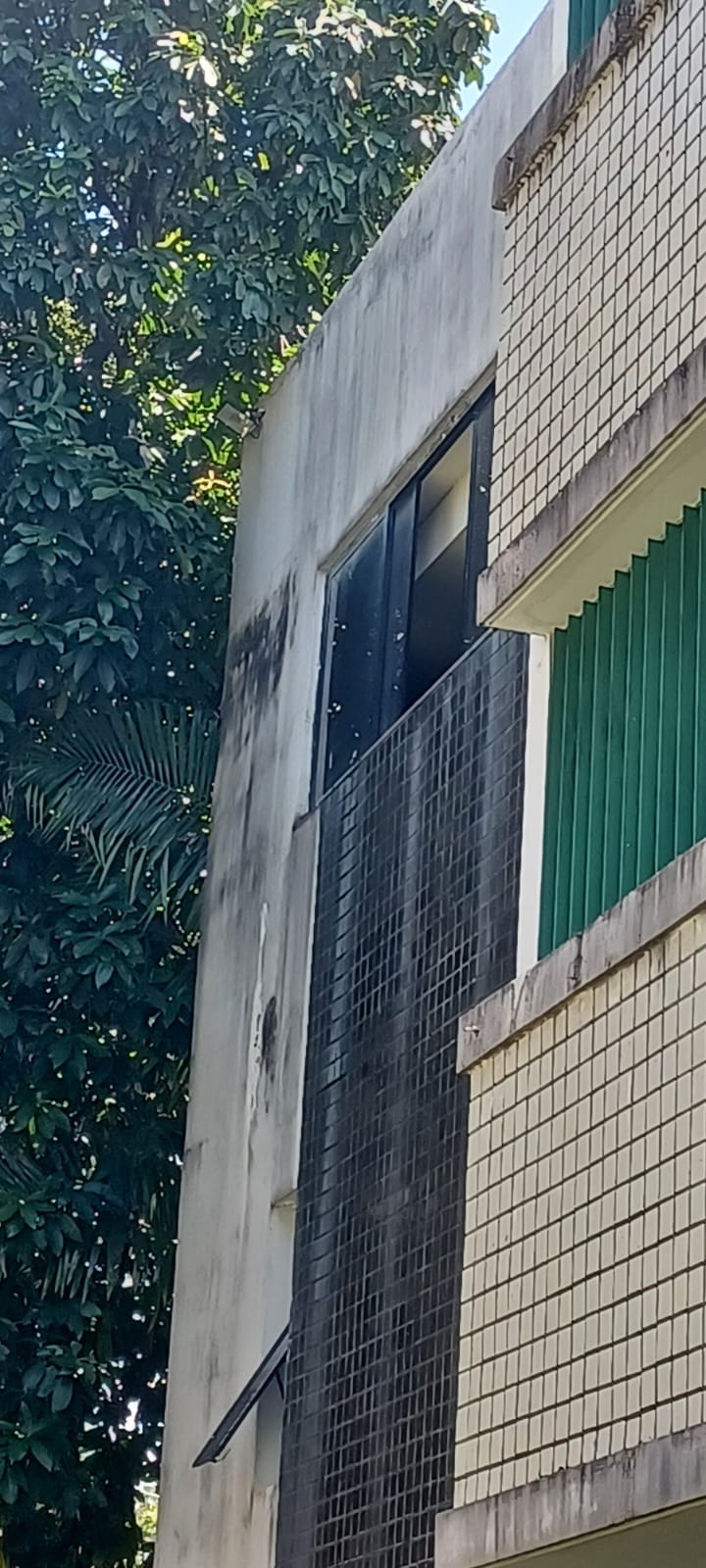 Anexo 3